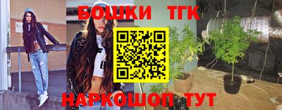 молекула духа Гатчина