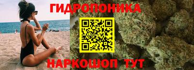 молекула духа Гатчина