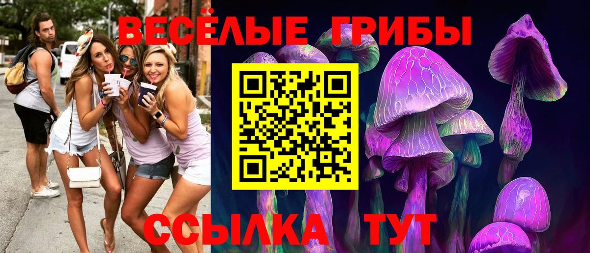 Коркино  Псилоцибиновые грибы GOLDEN TEACHER  Вход с VPN 